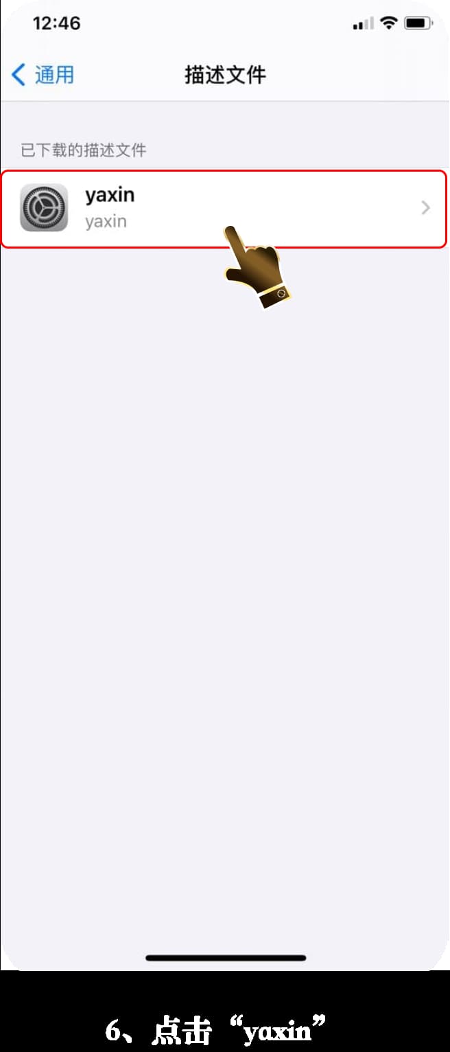 iOS应用官方安装步骤示意图6